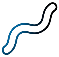 Botón: Análisis parasitológicos - Detección precisa de infecciones