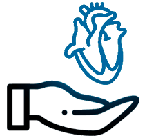 Botón: Estudios para trasplante y leucemias