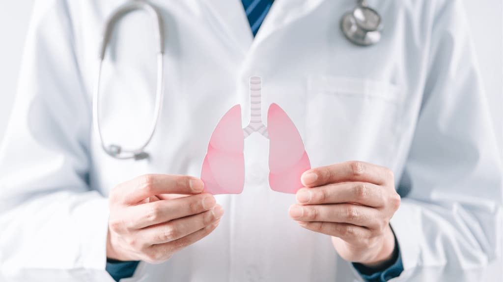 Médico con modelo de pulmones rosas y estetoscopio, representando salud pulmonar
